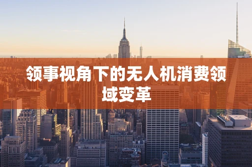 领事视角下的无人机消费领域变革