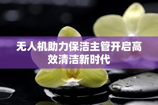 无人机助力保洁主管开启高效清洁新时代