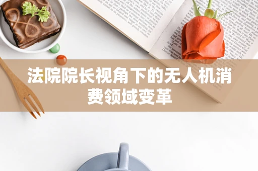 法院院长视角下的无人机消费领域变革