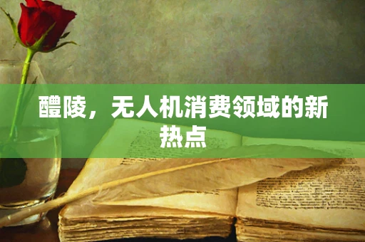 醴陵，无人机消费领域的新热点