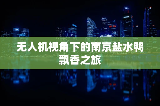 无人机视角下的南京盐水鸭飘香之旅