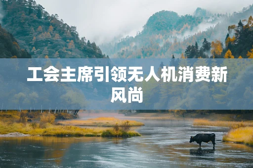 工会主席引领无人机消费新风尚
