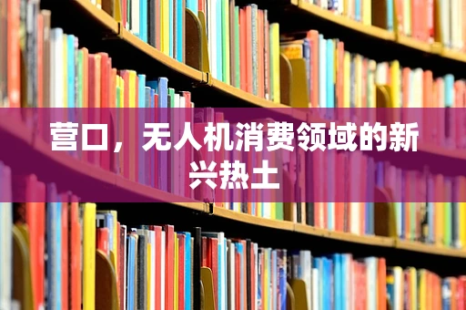 营口，无人机消费领域的新兴热土