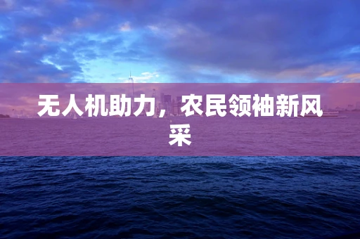 无人机助力，农民领袖新风采
