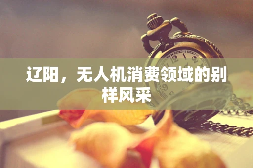 辽阳，无人机消费领域的别样风采