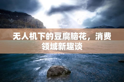 无人机下的豆腐脑花，消费领域新趣谈