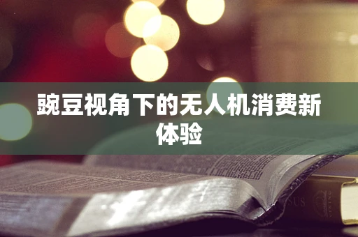 豌豆视角下的无人机消费新体验