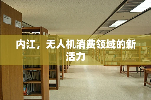 内江，无人机消费领域的新活力