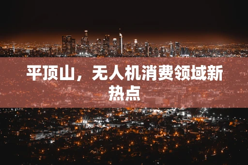 平顶山，无人机消费领域新热点