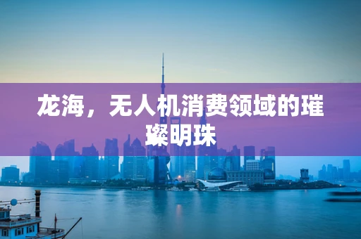 龙海，无人机消费领域的璀璨明珠