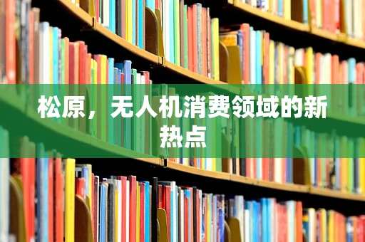 松原，无人机消费领域的新热点