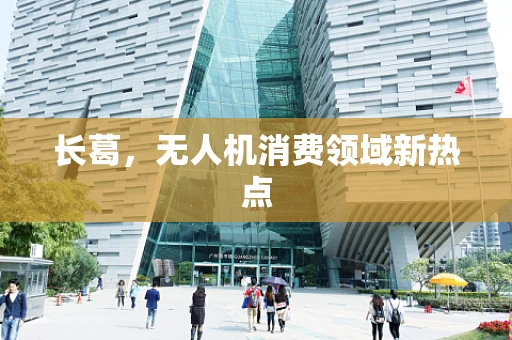 长葛，无人机消费领域新热点
