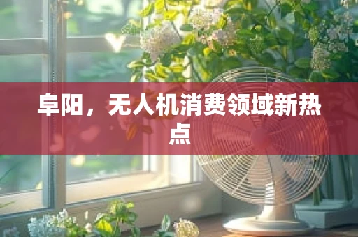 阜阳，无人机消费领域新热点