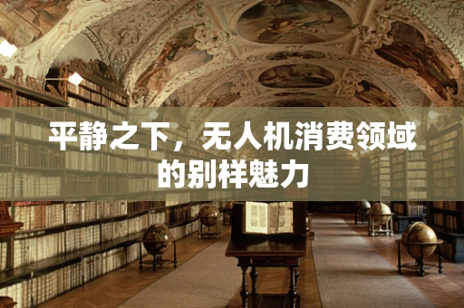平静之下，无人机消费领域的别样魅力