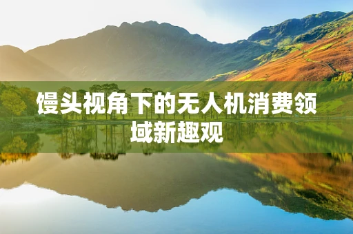 馒头视角下的无人机消费领域新趣观