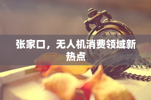 张家口，无人机消费领域新热点