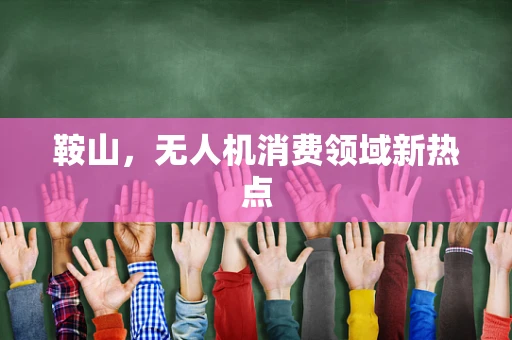鞍山，无人机消费领域新热点
