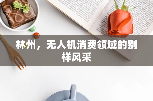 林州，无人机消费领域的别样风采