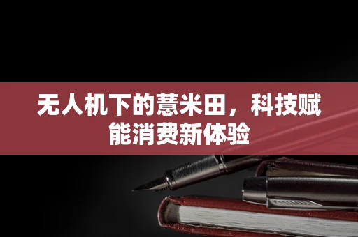 无人机下的薏米田，科技赋能消费新体验