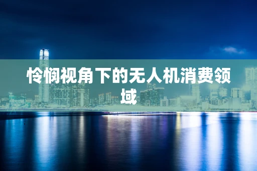 怜悯视角下的无人机消费领域