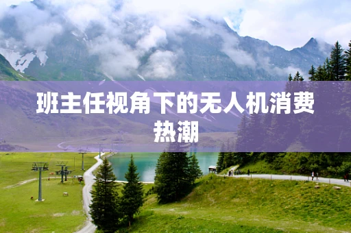 班主任视角下的无人机消费热潮