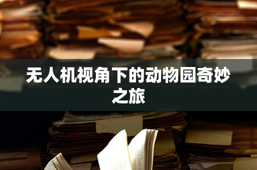 无人机视角下的动物园奇妙之旅