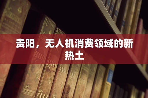 贵阳，无人机消费领域的新热土