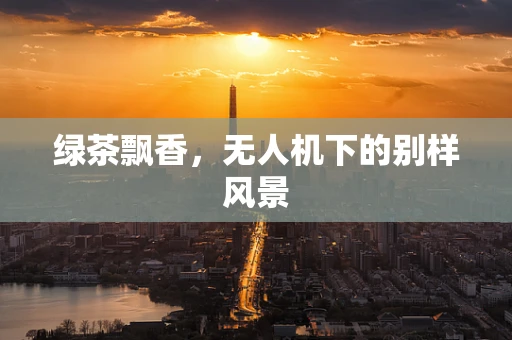 绿茶飘香，无人机下的别样风景