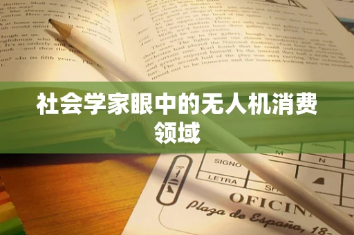 社会学家眼中的无人机消费领域