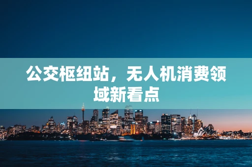 公交枢纽站，无人机消费领域新看点