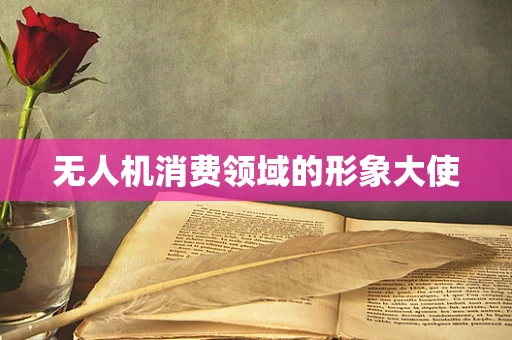 无人机消费领域的形象大使