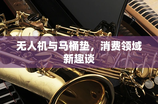 无人机与马桶垫，消费领域新趣谈