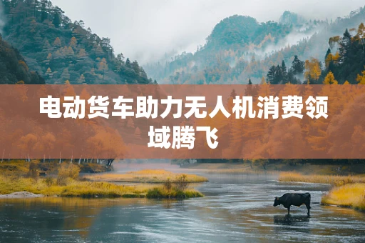 电动货车助力无人机消费领域腾飞