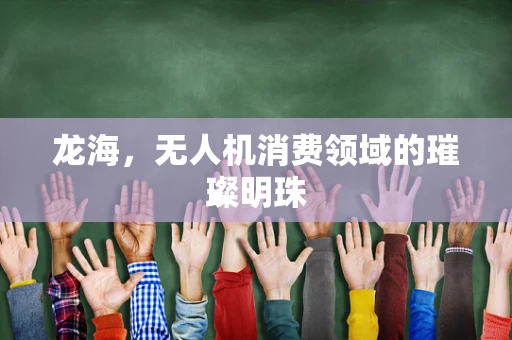 龙海，无人机消费领域的璀璨明珠