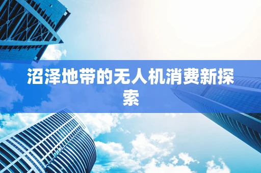 沼泽地带的无人机消费新探索