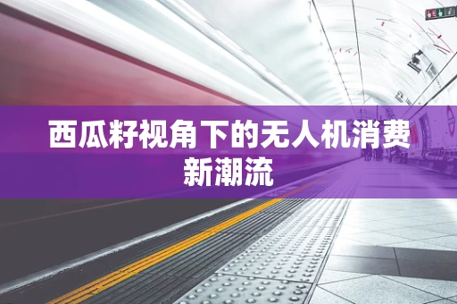西瓜籽视角下的无人机消费新潮流