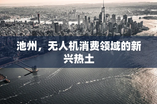 池州，无人机消费领域的新兴热土