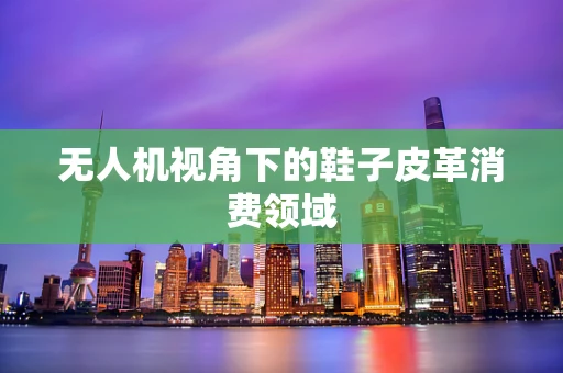 无人机视角下的鞋子皮革消费领域