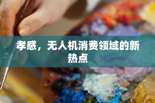 孝感，无人机消费领域的新热点