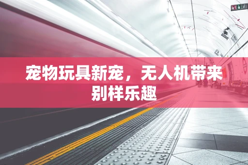 宠物玩具新宠，无人机带来别样乐趣