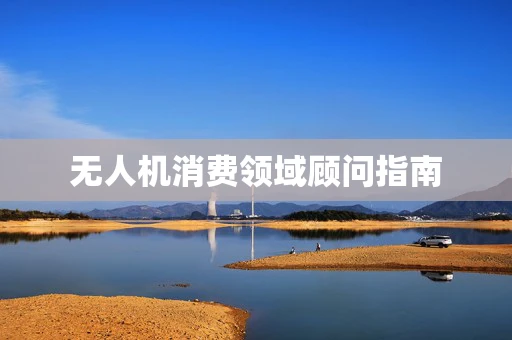 无人机消费领域顾问指南