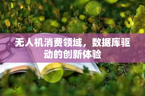 无人机消费领域，数据库驱动的创新体验