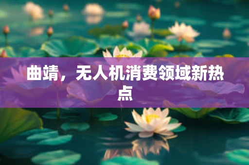 曲靖，无人机消费领域新热点