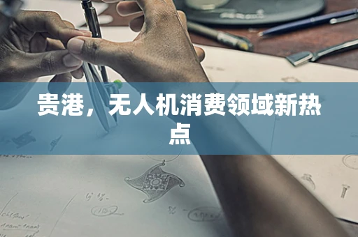 贵港，无人机消费领域新热点