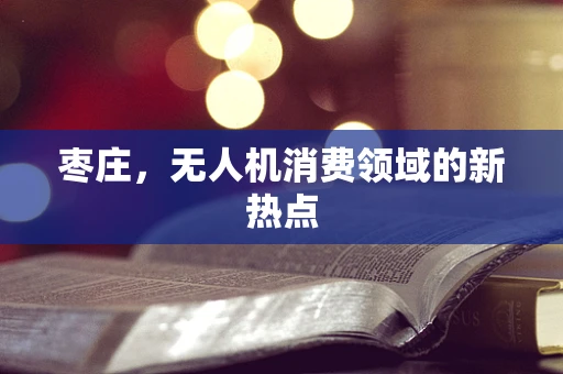枣庄，无人机消费领域的新热点