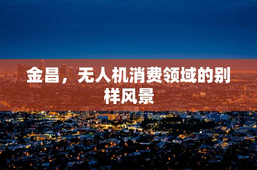 金昌，无人机消费领域的别样风景