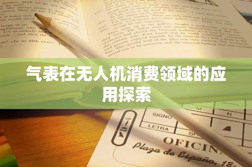 气表在无人机消费领域的应用探索