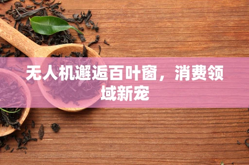 无人机邂逅百叶窗，消费领域新宠