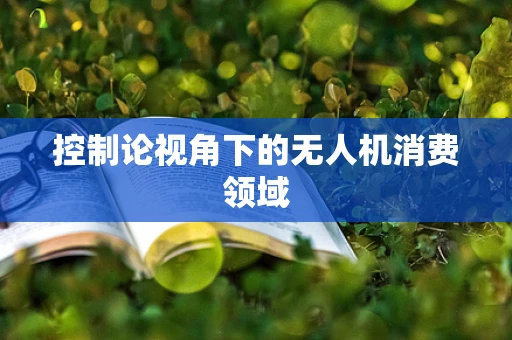 控制论视角下的无人机消费领域
