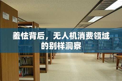 羞怯背后，无人机消费领域的别样洞察